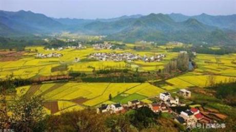 新野縣王集鎮(zhèn)等兩個鄉(xiāng)鎮(zhèn)土地整治項(xiàng)目工程復(fù)核和土地重估、登記、評價項(xiàng)目