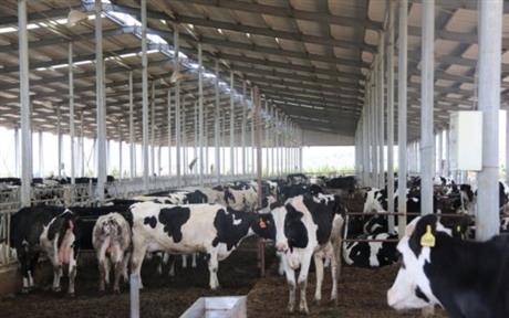 蘭考縣葡萄架鄉(xiāng)現(xiàn)代牧場(chǎng)項(xiàng)目建設(shè)工程