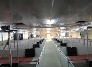 許昌市中科禽業(yè)有限公司2020年生豬規(guī)?;B(yǎng)殖場(chǎng)建設(shè)補(bǔ)助項(xiàng)目第三方驗(yàn)收