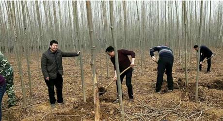 2022年國有葉縣林場扶持生產(chǎn)補助項目